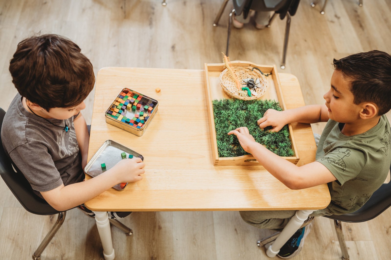 Summer program activities at WMA Elmhurst